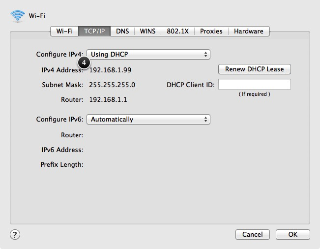 TCP/IP tab showing computer's dynamically assigned IP address using DHCP